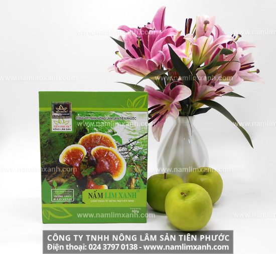 Nấm lim xanh hỗ trợ điều trị bệnh ung thư vòm họng