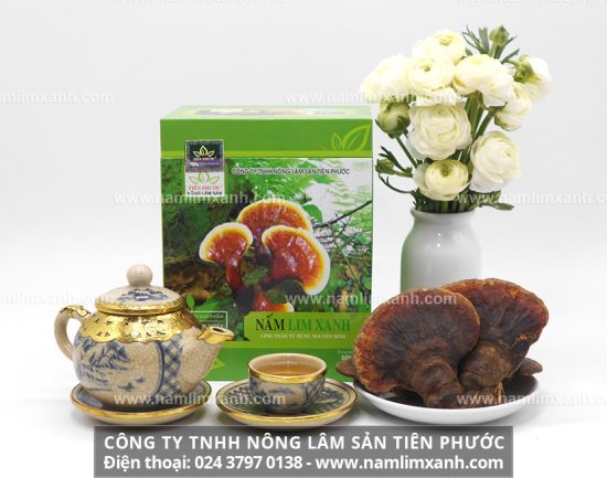 Nấm lim xanh hỗ trợ điều trị nhiều loại bệnh