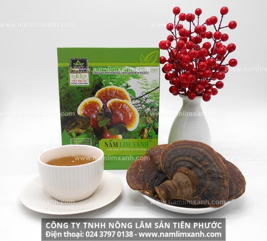 Nấm lim xanh hỗ trợ điều trị ung thư cổ tử cung hiệu quả