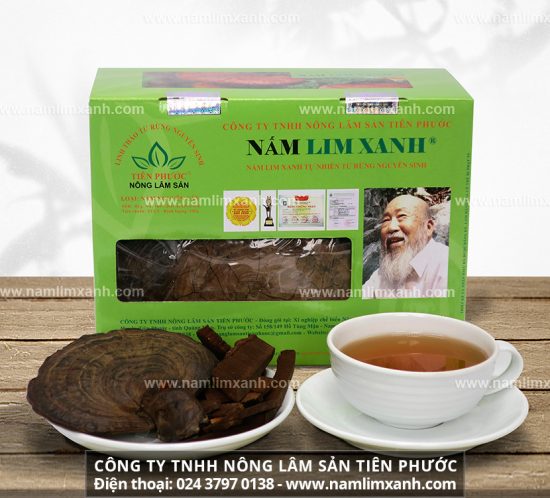 Nấm lim xanh hỗ trợ điều trị ung thư gan