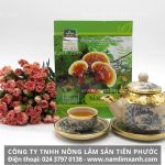 Nấm lim xanh là thảo dược phòng chống ung thư gan hiệu quả