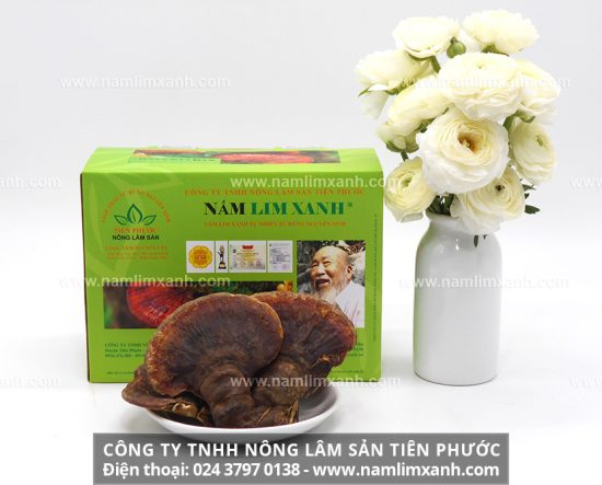 Nấm lim xanh ngâm rượu bồi bổ sức khỏe, ngăn ngừa bệnh tật