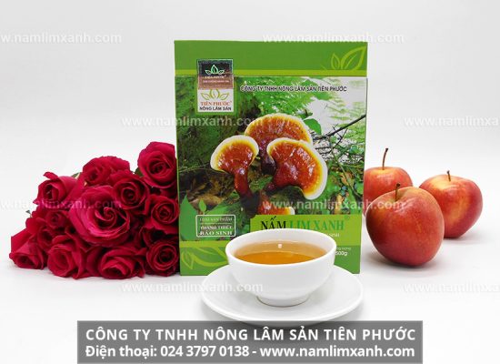 Nấm lim xanh ngăn ngừa lão hóa, gìn giữ nét xuân