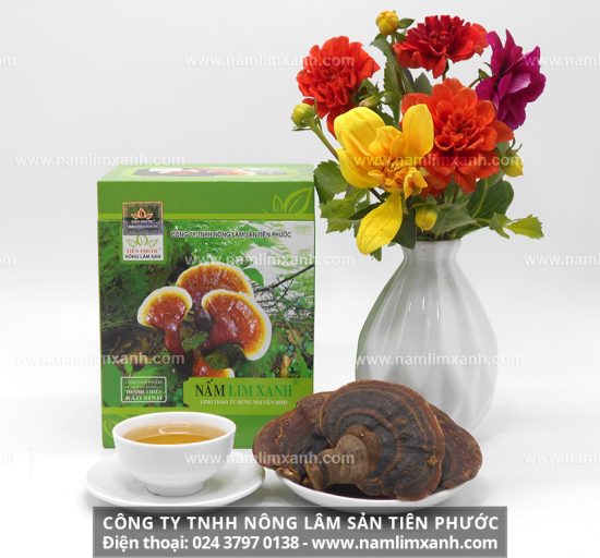 Nấm lim xanh qua chế biến hỗ trợ điều trị bệnh ung thư cổ tử cung hiệu quả