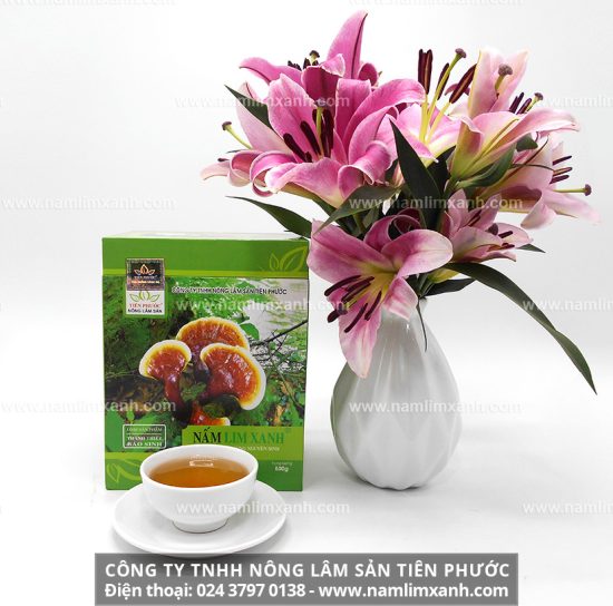 Nấm lim xanh rừng tự nhiên bao nhiêu tiền 1 kg