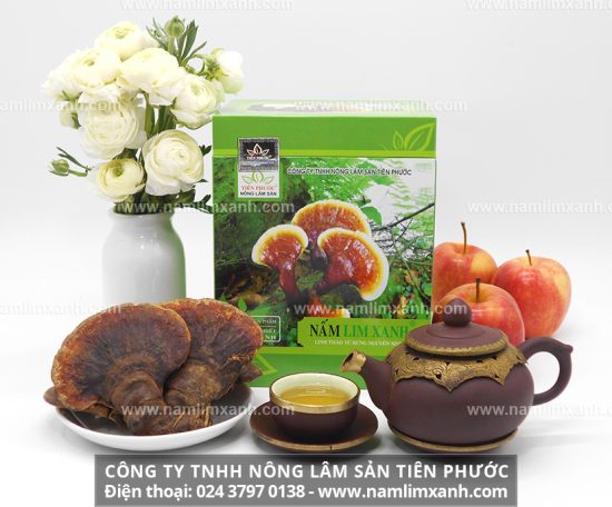 Nấm lim xanh trị bệnh đau dạ dày bằng cơ chế nào