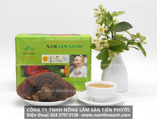 Nấm lim xanh tự nhiên còn có tác dụng điều trị các chứng bệnh về gan như xơ gan, gan nhiễm mỡ, nhiễm độc gan do rượu bia