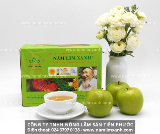 Nấm lim xanh tự nhiên mọc trong rừng nguyên sinh sẽ giúp kích thích cơ thể tạo ra các kháng nguyên, tiêu diệt các tế bào ung thư