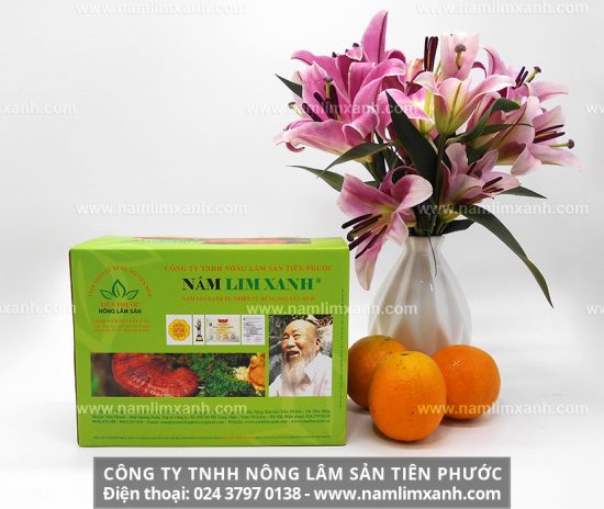 Nấm lim xanh tự nhiên mua ở đâu chính hãng và giá bao nhiêu 1kg