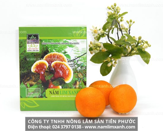 Nấm lim xanh và công dụng hỗ trợ điều trị các bệnh gan