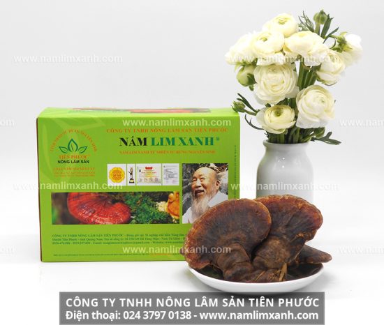 Ngâm và sử dụng rượu nấm lim xanh đúng cách