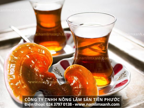 Nghiền nấm thành bột và uống như trà túi lọc