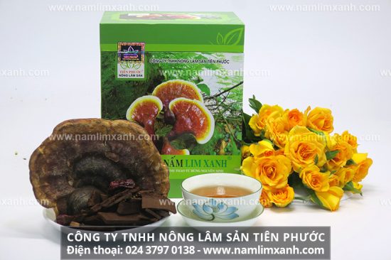 Những cây nấm lim xanh mọc trong môi trường tự nhiên sẽ bị ảnh hưởng bởi thời tiết, điều trị khí hậu, côn trùng nên có hình thức xù xì, xấu xí hơn so với nấm được trồng trong môi trường nhân tạo