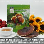 Những lưu ý không thể bỏ qua khi sử dụng nấm lim xanh đúng cách