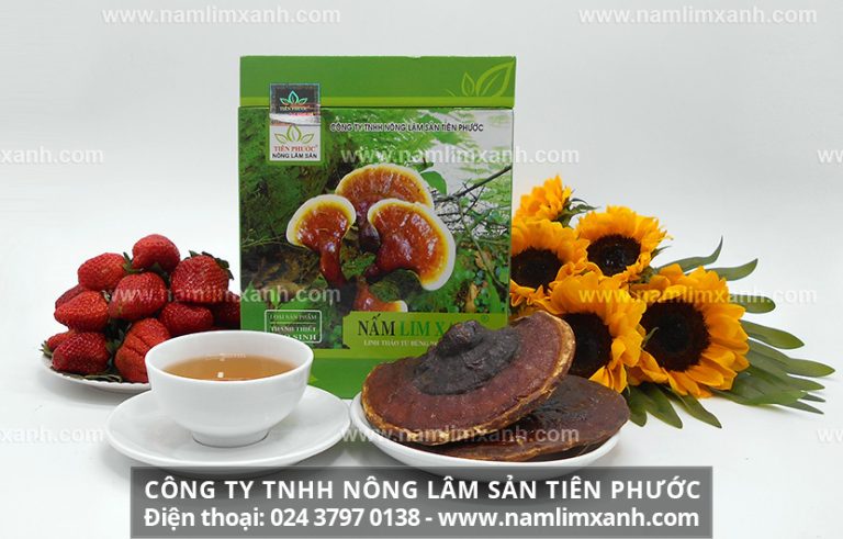 Những lưu ý không thể bỏ qua khi sử dụng nấm lim xanh đúng cách