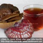 Những nguy hiểm khi sử dụng và bảo quản nấm lim xanh sai cách