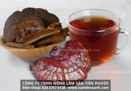 Những nguy hiểm khi sử dụng và bảo quản nấm lim xanh sai cách