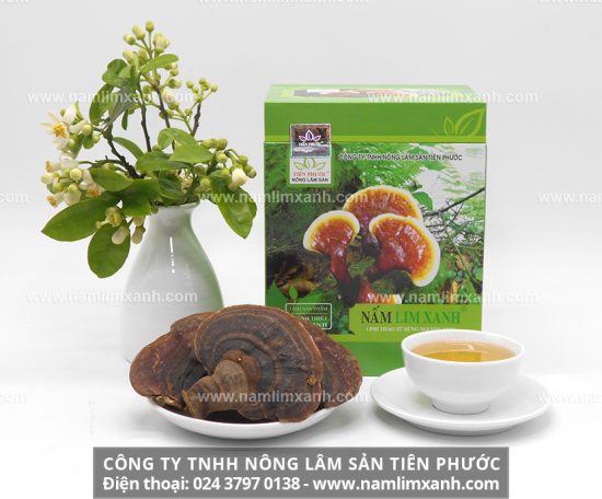 Phòng ngừa các bệnh tim mạch từ nấm lim xanh