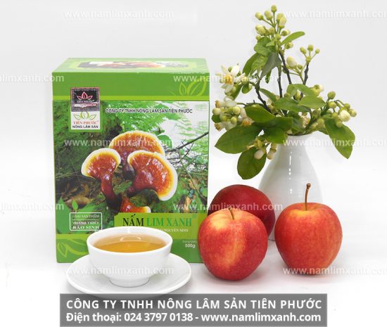 Phương pháp sử dụng thảo dược như nấm lim xanh rừng chữa viêm gan B và C