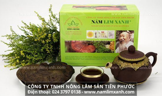 Sử dụng nấm lim xanh Quảng Nam trong điều trị ung thư ở Việt Nam