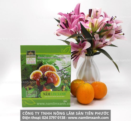 Sử dụng nấm lim xanh giúp cơ thể đáp ứng được các liệu pháp điều trị bệnh