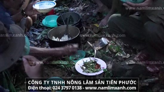 Sử dụng nấm lim xanh tự nhiên đều đặn còn giúp người bệnh tăng cường sức đề kháng, nâng cao khả năng miễn dịch, phòng chống bệnh ung thư gan hiệu quả.