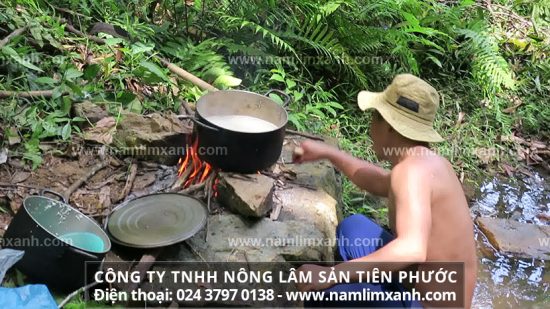 Sử dụng uống nấm lim xanh nước sắc đều đặn mỗi ngày còn là cách hữu hiệu giúp ngăn ngừa bệnh tật tấn công con người, tăng cường sức khỏe.