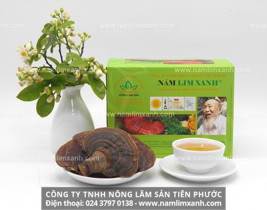 Tác dụng của nấm lim xanh Tiên Phước