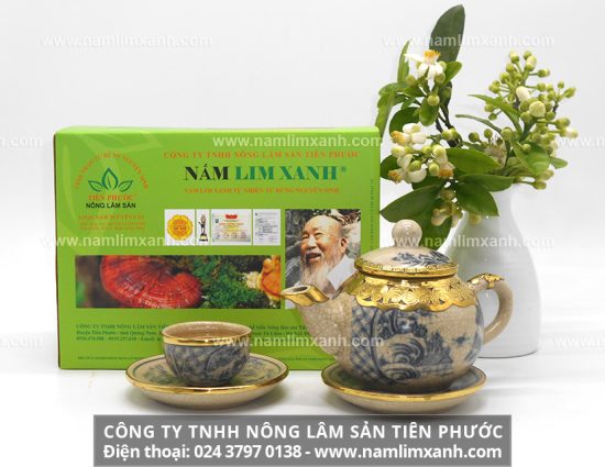 Tác dụng của nấm lim xanh Tiên Phước với sức khỏe