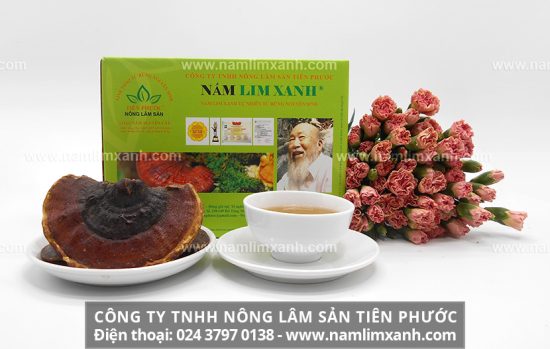 Tác dụng của nấm lim xanh chữa ung thư buồng trứng ở phụ nữ