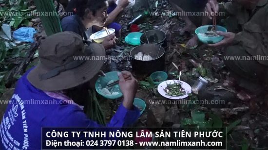 Tác dụng của nấm lim xanh đối với sức khỏe