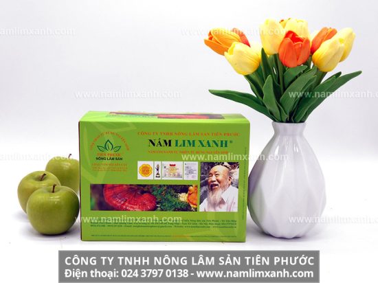 Tác dụng của nấm lim xanh đối với sức khỏe con người