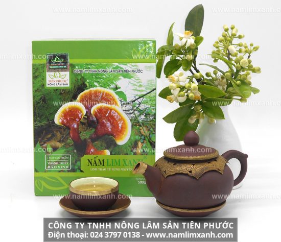 Tác dụng của nấm lim xanh rừng còn được so sánh trên cả nhân sâm và được sử dụng từ hơn 2000 năm về trước