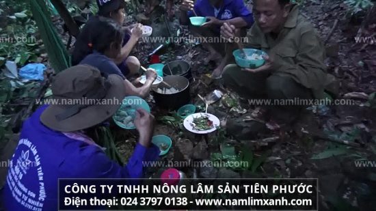 Tác hại của việc sử dụng nấm lim xanh giả