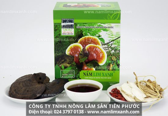 Thoát bệnh nhờ công dụng nấm lim xanh