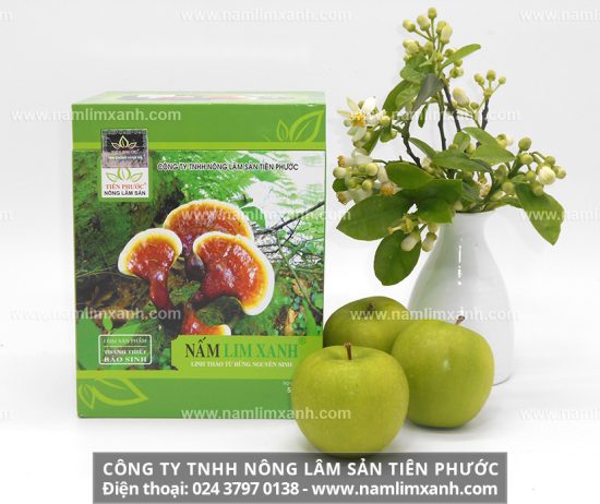 Thoát căn bệnh ung thư gan một cách kỳ diệu bằng công dụng của nấm lim xanh