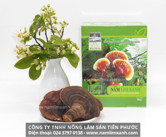 Tìm hiểu tác dụng của nấm lim xanh đối với sức khỏe và làm đẹp