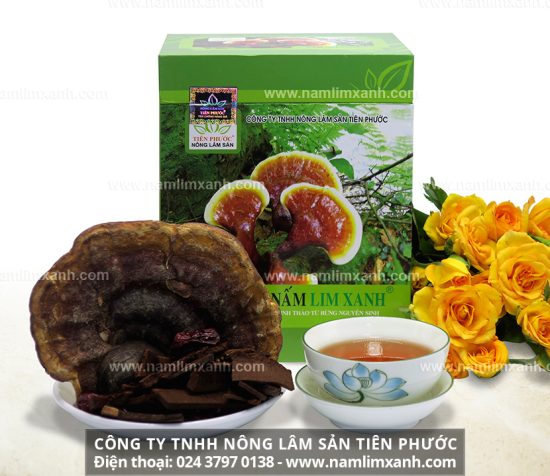 Ung thư dương vật và cách dùng nấm lim xanh chữa ung thư dương vật