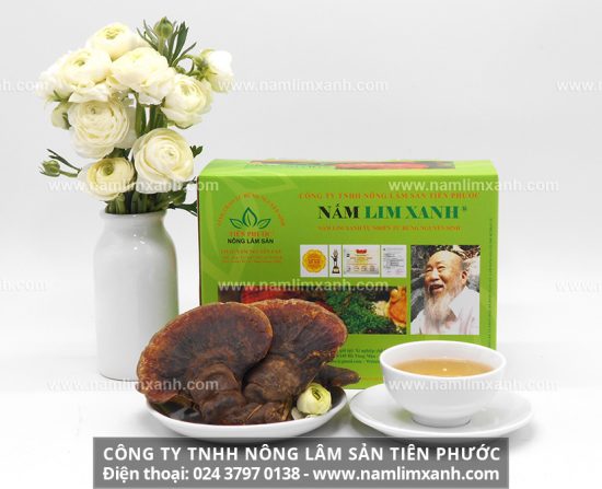 Uống nấm lim xanh chữa ung thư như thế nào