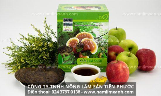 Uống nấm lim xanh có tác dụng gì