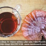 Uống nấm lim xanh có tác dụng gì với bệnh ung thư xoang mũi?