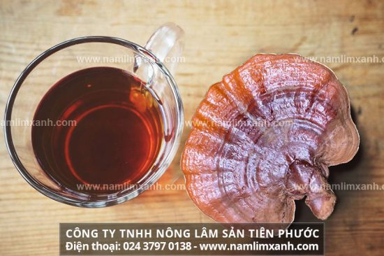 Uống nấm lim xanh có tác dụng gì với bệnh ung thư xoang mũi