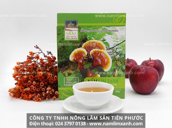 Uống nước nấm lim xanh thường xuyên giúp phòng tránh nhiều bệnh ung thư nguy hiểm