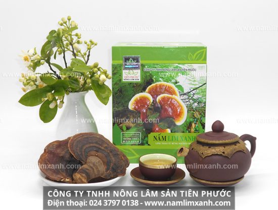 Uống nước sắc nấm lim xanh giúp bồi bổ sức khỏe cho mọi người