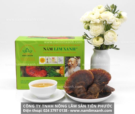 Uống nước sắc từ nấm lim xanh hái ở rừng Suối Bùn điều trị thành công những căn bệnh hiểm nghèo như xơ gan cổ trướng, ung thư gan, viêm gan B...