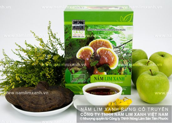 Hình ảnh về Nấm lim xanh Quảng Nam
