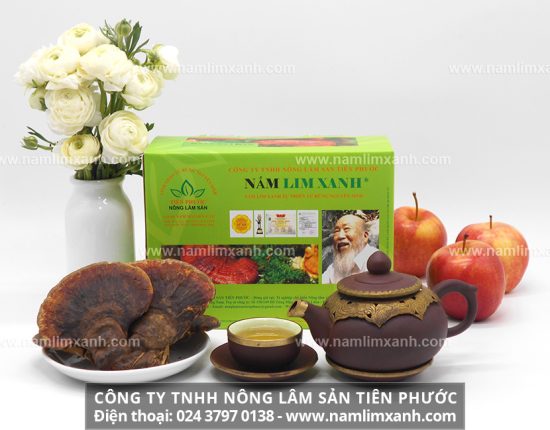 nấm lim xanh có chứa các dược chất quý giúp hỗ trợ điều trị bệnh ung thư