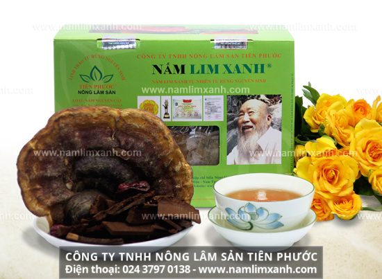 Nấm lim xanh chữa bệnh xơ gan – Hy vọng mới cho bệnh nhân