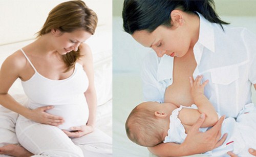 Phụ nữ mang thai và trẻ em dưới 2 tuổi không nên sử dụng nấm lim xanh