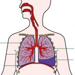 Tràn dịch màng phổi có nguy hiểm không?